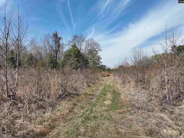 00 Dr Boylston Rd, Salley, SC 29137