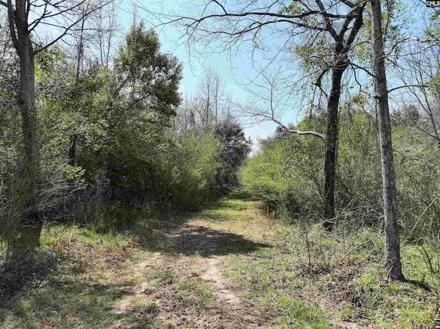 00 Dr Boylston Rd, Salley, SC 29137