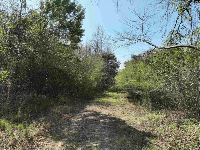00 Dr Boylston Rd, Salley, SC 29137