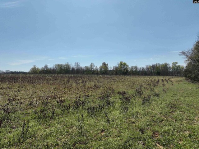 00 Dr Boylston Rd, Salley, SC 29137