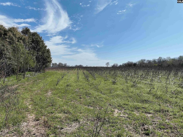 00 Dr Boylston Rd, Salley, SC 29137