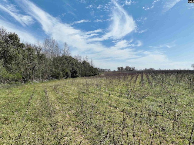 00 Dr Boylston Rd, Salley, SC 29137