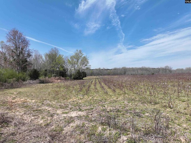 00 Dr Boylston Rd, Salley, SC 29137
