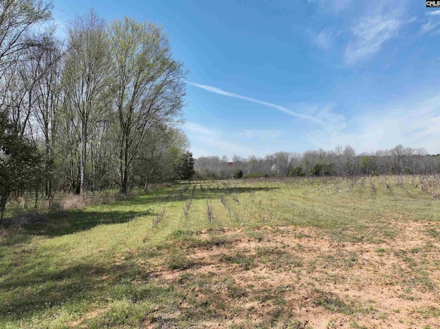 00 Dr Boylston Rd, Salley, SC 29137