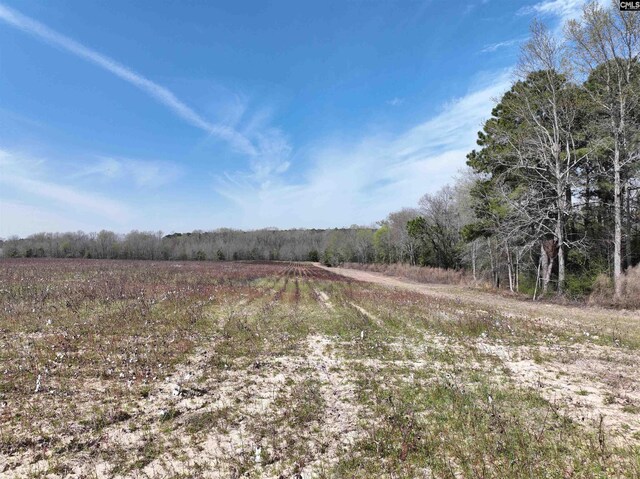 00 Dr Boylston Rd, Salley, SC 29137