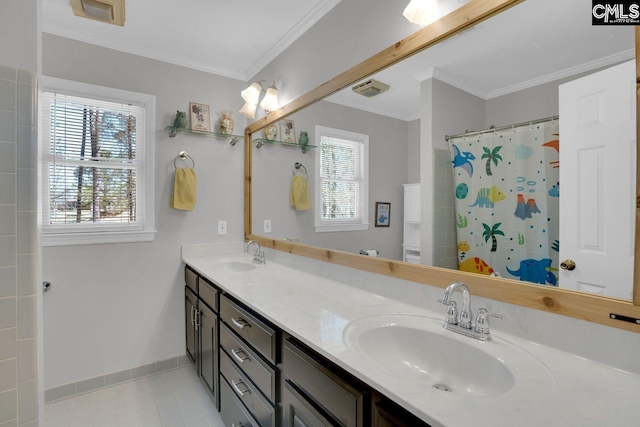 538 Wateroak Trl, Chapin, SC 29036 - bathroom featuring a wealth of natural light, a sink, and crown molding