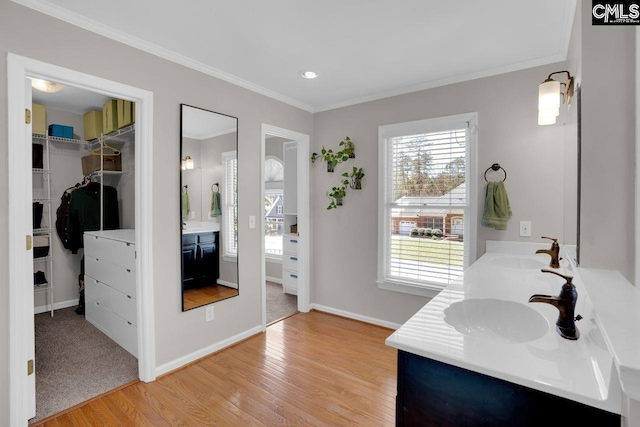 538 Wateroak Trl, Chapin, SC 29036 - bathroom featuring crown molding, a spacious closet, a sink, double vanity, and wood finished floors