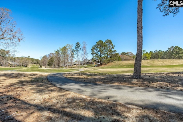 538 Wateroak Trl, Chapin, SC 29036 - view of street
