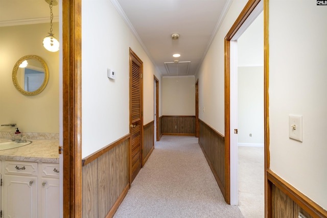 corridor featuring crown molding, attic access, wood walls, a wainscoted wall, and light carpet