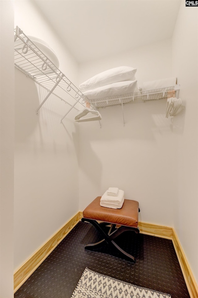 spacious closet featuring carpet flooring