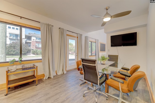 interior space featuring ceiling fan and wood finished floors