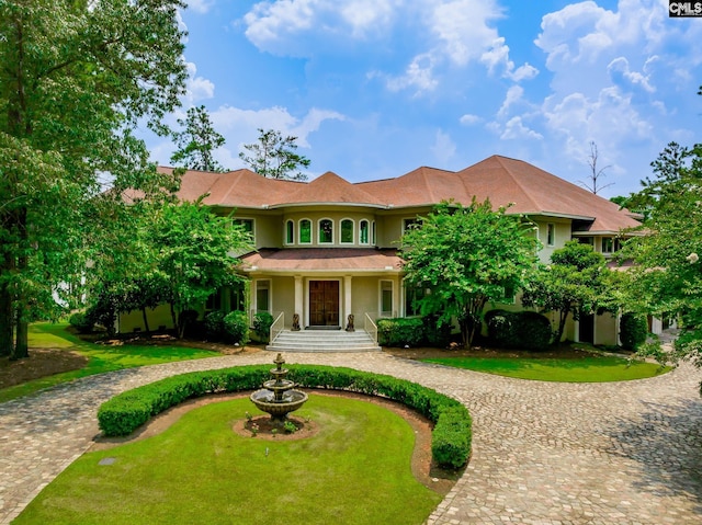view of front of property with curved driveway, stucco siding, and a front lawn
