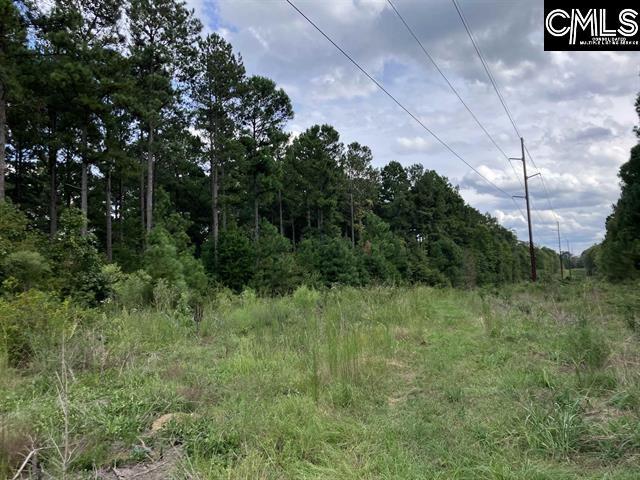 0 Holley Ferry Rd, Leesville, SC 29070