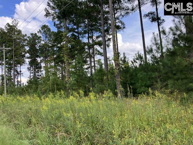 0 Holley Ferry Rd, Leesville, SC 29070