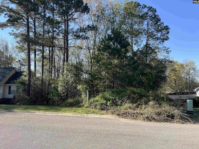 313 Downs Dr, Columbia, SC 29209