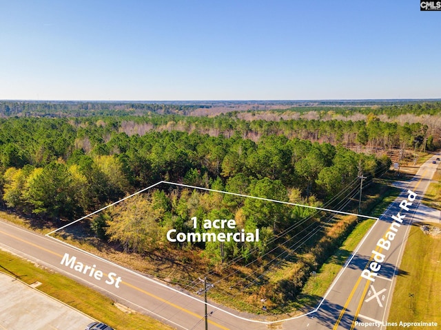 0 Red Bank Rd, Orangeburg, SC 29118