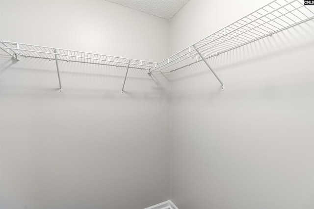 1827 Lake Carolina Dr, Columbia, SC 29229 - view of walk in closet