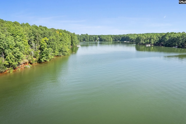 245 Goodlett Ln Unit 5, Blair, SC 29015