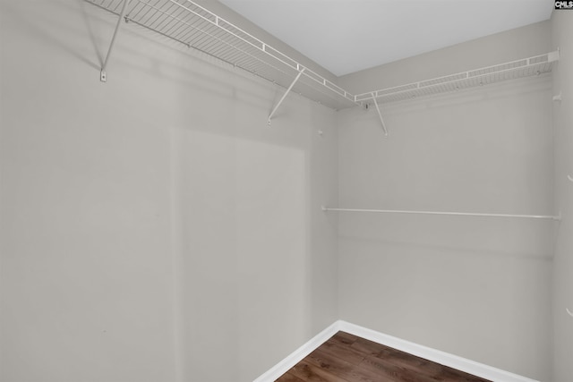 walk in closet with dark wood finished floors