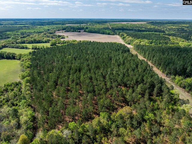 0 Millers Pond Rd, Wagener, SC 29164