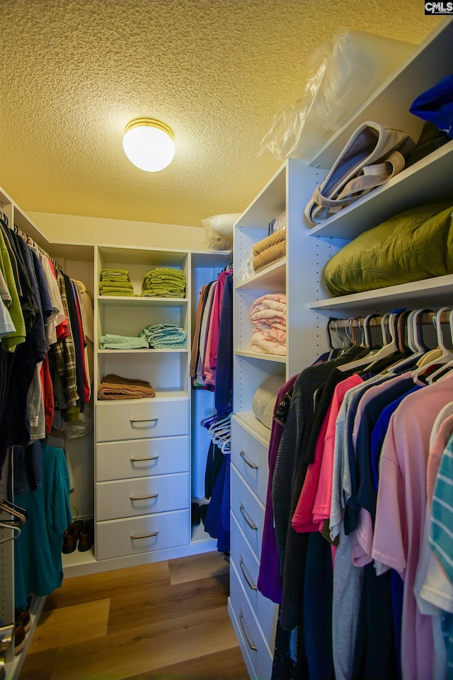 walk in closet featuring wood finished floors