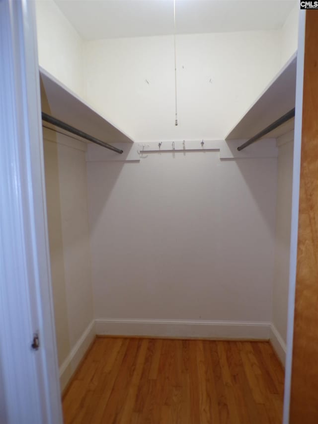 302 Baskin Ave, Bishopville, SC 29010 - spacious closet with light wood-style flooring