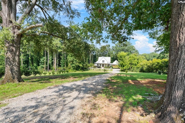 178 Pomaria St, Little Mountain, SC 29075 - view of street featuring gravel driveway and a view of trees