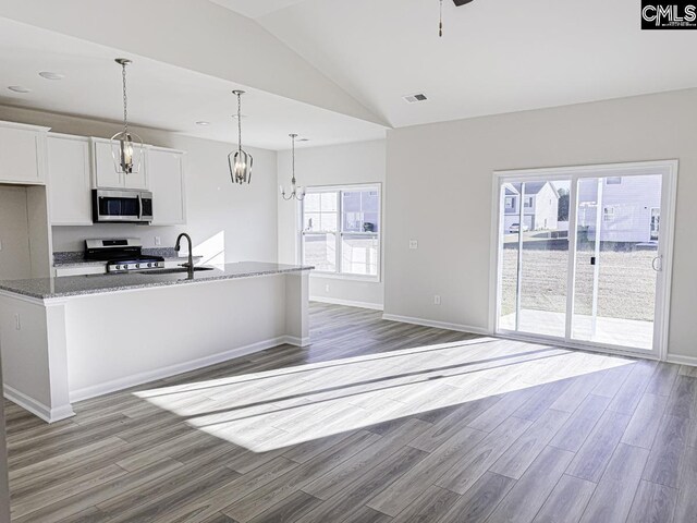 352 Woodberry Dr, Orangeburg, SC 29115 - kitchen with a sink, wood finished floors, appliances with stainless steel finishes, lofted ceiling, and white cabinets