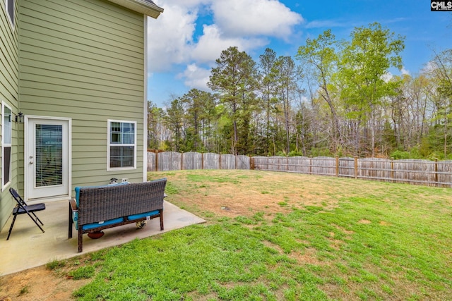 view of yard with a patio and a fenced backyard
