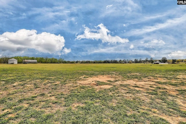 1291 Brewer Springs Rd, Camden, SC 29020 - view of yard with a rural view
