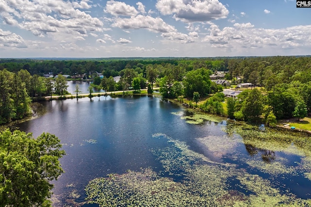 aerial view featuring a water view and a forest view