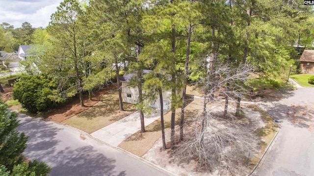 17 Sweet Branch Ct, Columbia, SC 29212 - exterior space featuring concrete driveway