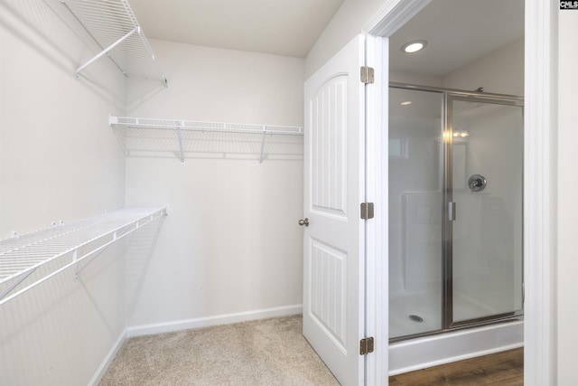 walk in closet with carpet floors