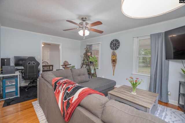 2008 Arnett Dr, Camden, SC 29020 - living room with crown molding, a ceiling fan, wood finished floors, a textured ceiling, and baseboards