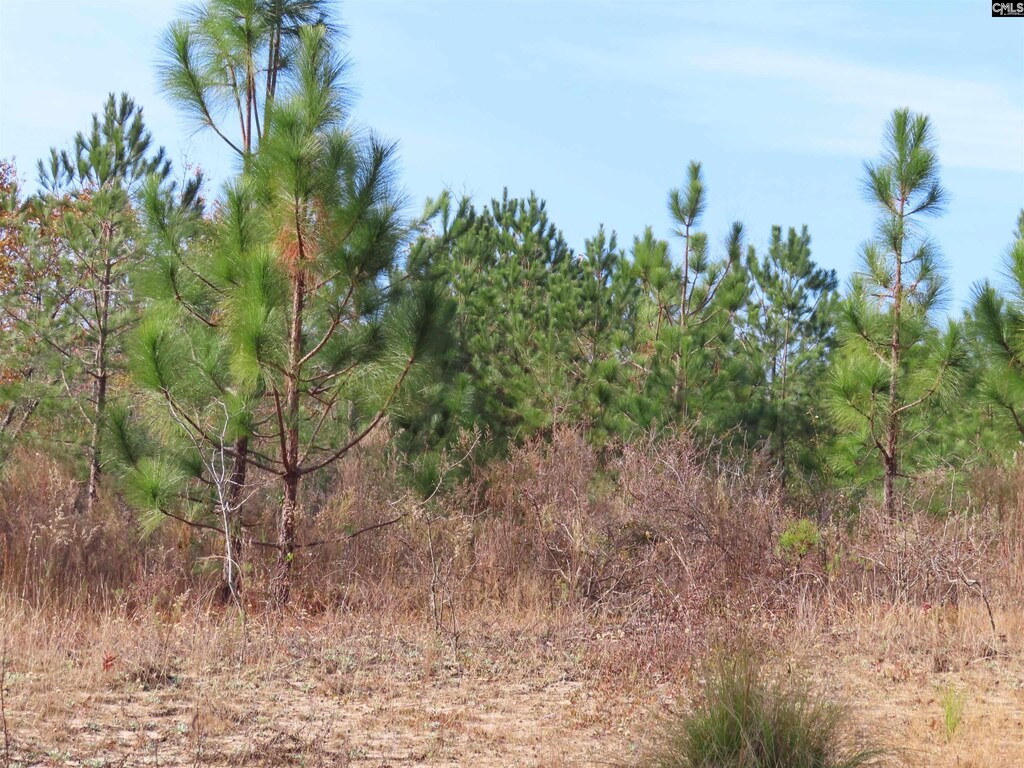0 Kennedy Pond Rd, Wagener, SC 29164