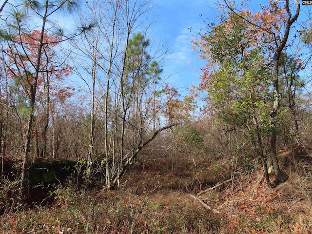 0 Kennedy Pond Rd, Wagener, SC 29164