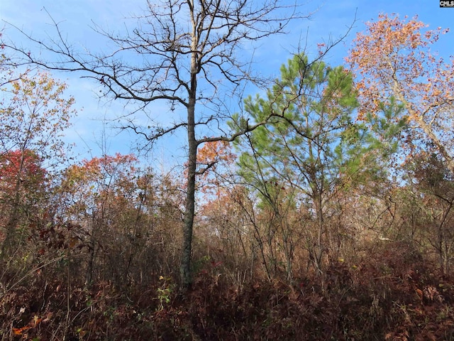 0 Kennedy Pond Rd, Wagener, SC 29164