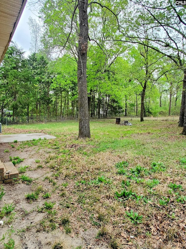 view of yard