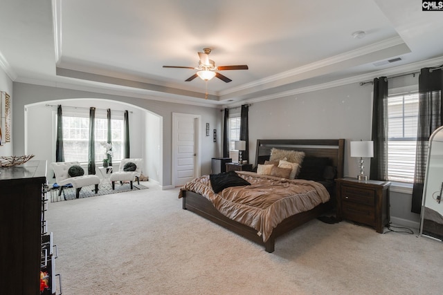 232 Compass Trl, Blythewood, SC 29016 - bedroom featuring multiple windows, a raised ceiling, and light carpet