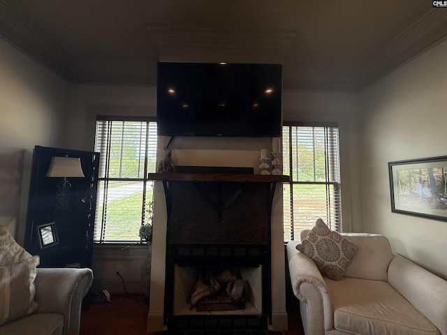 living room featuring a fireplace