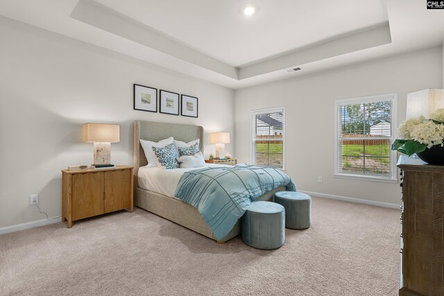 218 Secretariat St, Lexington, SC 29073 - bedroom with a tray ceiling, baseboards, and carpet flooring