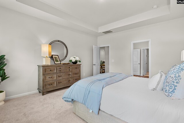 218 Secretariat St, Lexington, SC 29073 - bedroom with a tray ceiling, light carpet, baseboards, and visible vents
