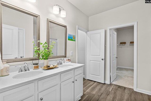 218 Secretariat St, Lexington, SC 29073 - full bathroom featuring a spacious closet, double vanity, a sink, and wood finished floors