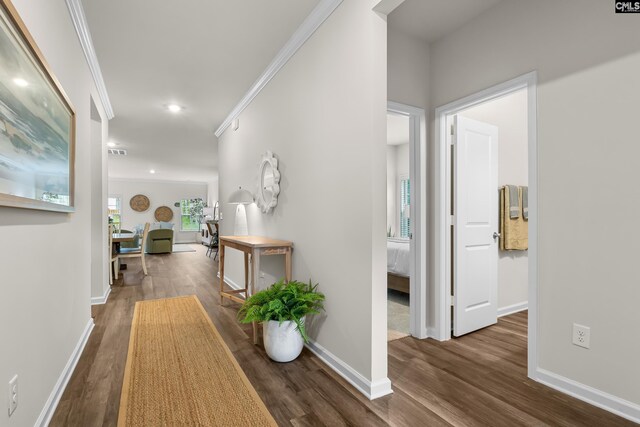 218 Secretariat St, Lexington, SC 29073 - hallway with ornamental molding, baseboards, and wood finished floors