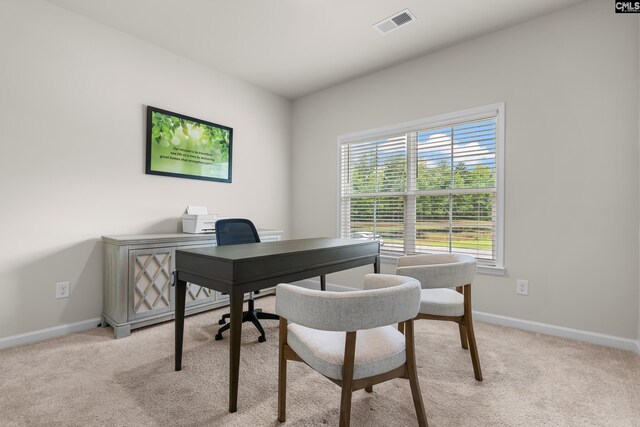 218 Secretariat St, Lexington, SC 29073 - office area featuring visible vents, light colored carpet, and baseboards