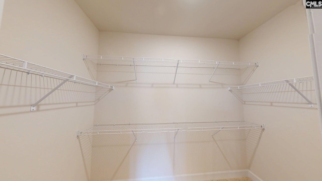 501 Rosemont Dr, Orangeburg, SC 29115 - view of spacious closet