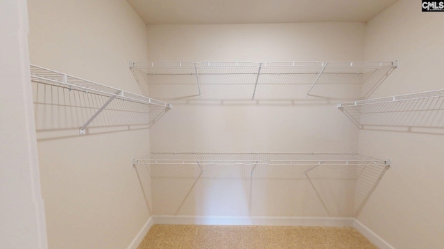 501 Rosemont Dr, Orangeburg, SC 29115 - walk in closet with carpet flooring