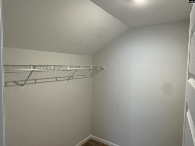 spacious closet featuring vaulted ceiling