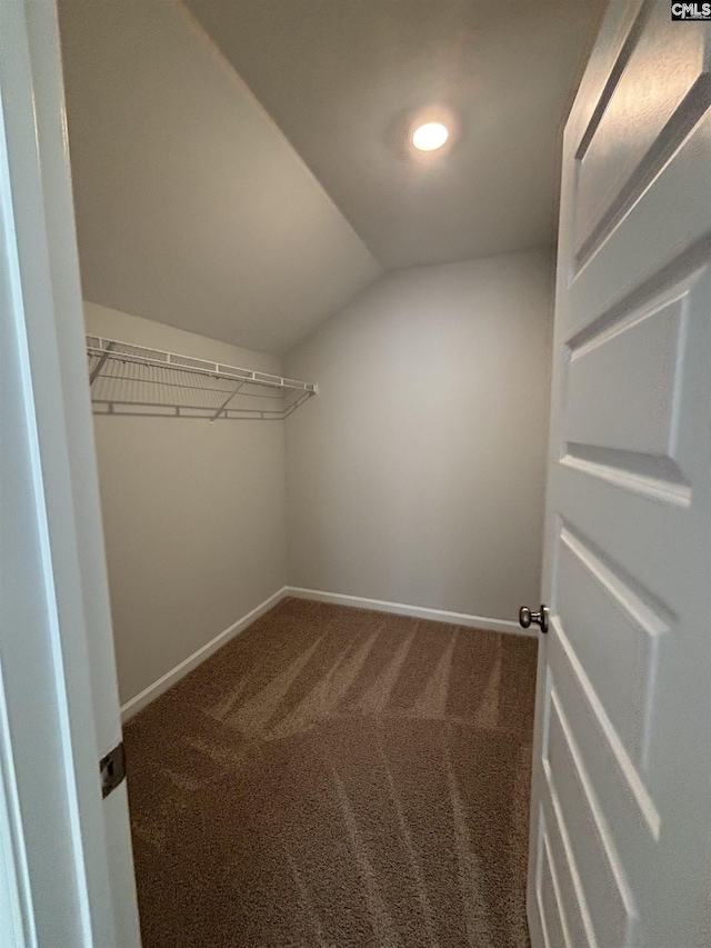 walk in closet featuring carpet flooring and lofted ceiling