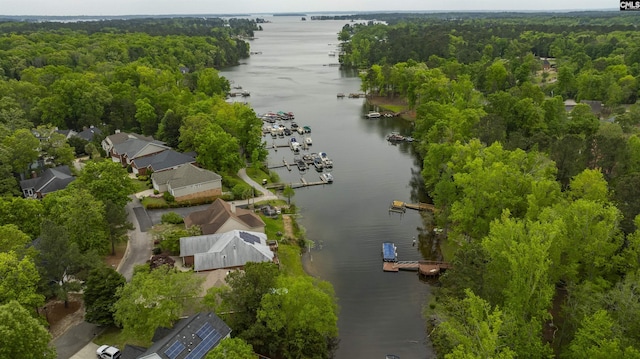 124 Pond Edge Ln, Chapin, SC 29036 - bird's eye view with a water view and a view of trees